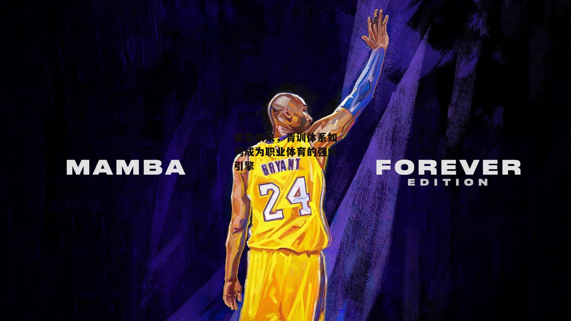 重塑未来,青训体系如何成为职业体育的强大引擎