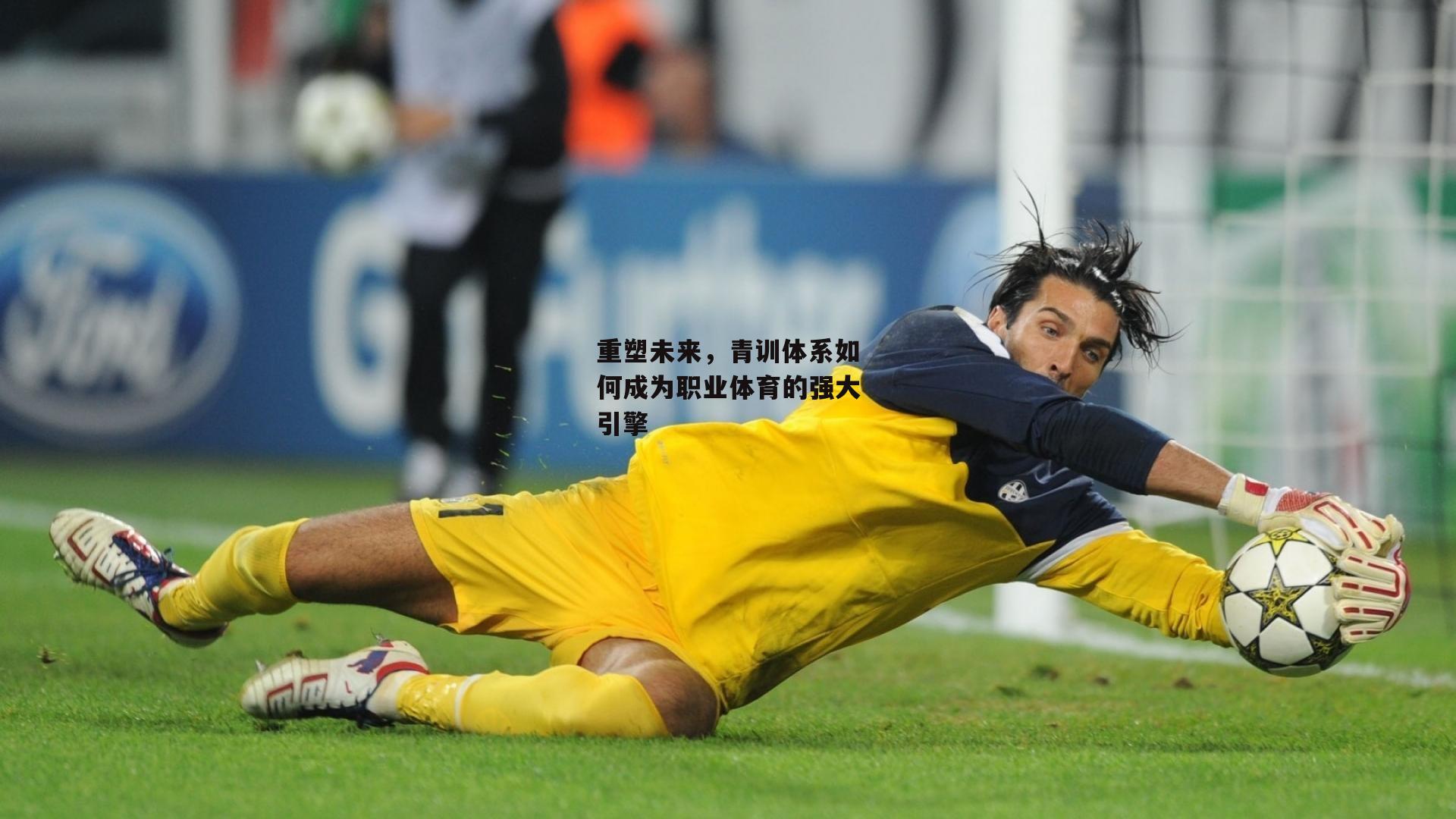 重塑未来,青训体系如何成为职业体育的强大引擎